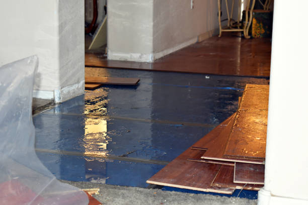 Professional Burst Pipe Cleanup technician working in Greenville, ME